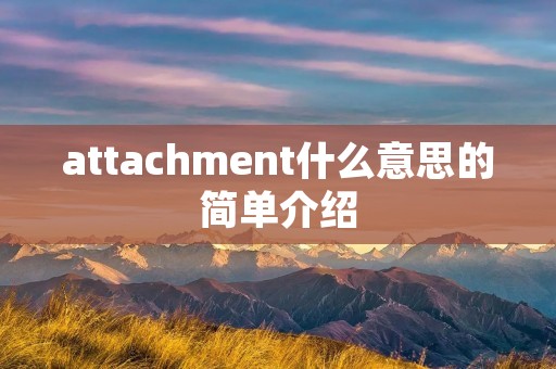 attachment什么意思的简单介绍