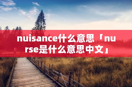 nuisance什么意思「nurse是什么意思中文」