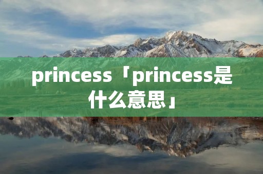 princess「princess是什么意思」