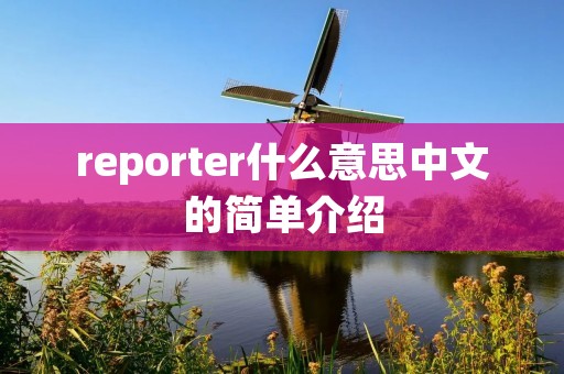 reporter什么意思中文的简单介绍