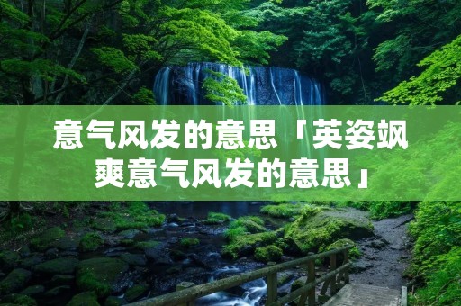 意气风发的意思「英姿飒爽意气风发的意思」