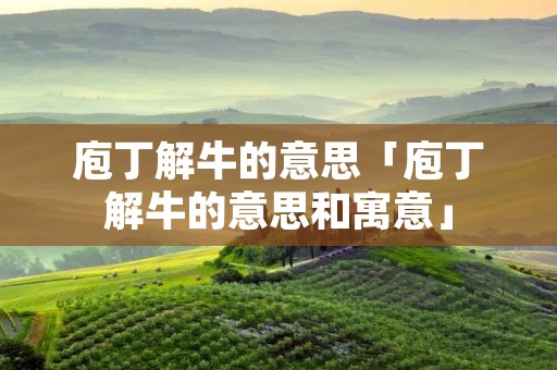 庖丁解牛的意思「庖丁解牛的意思和寓意」