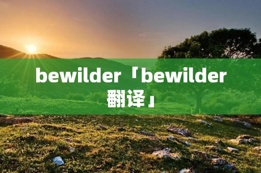 bewilder「bewilder翻译」