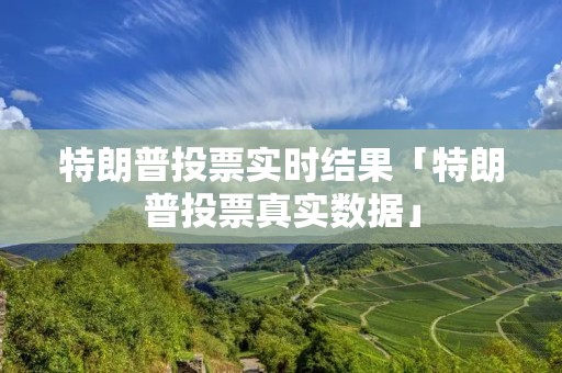 特朗普投票实时结果「特朗普投票真实数据」