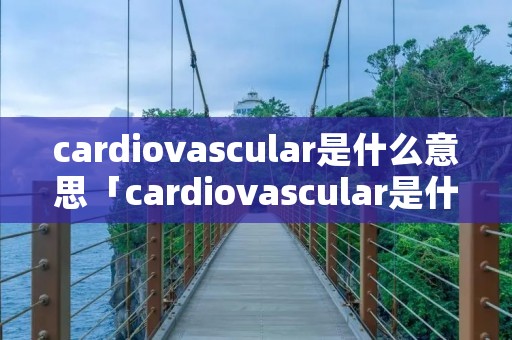 cardiovascular是什么意思「cardiovascular是什么意思英语」