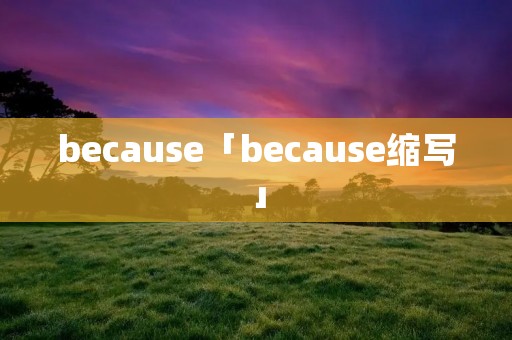 because「because缩写」
