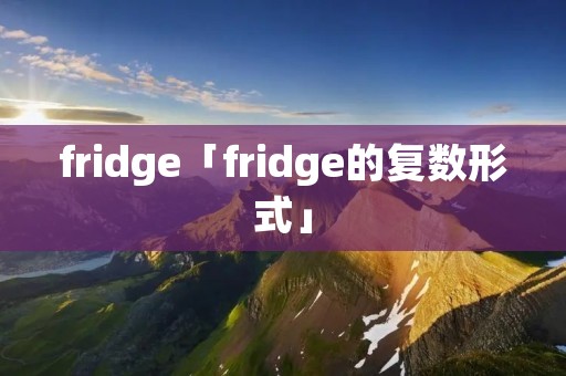 fridge「fridge的复数形式」 fridge「fridge的复数形式」