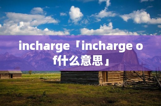 incharge「incharge of什么意思」