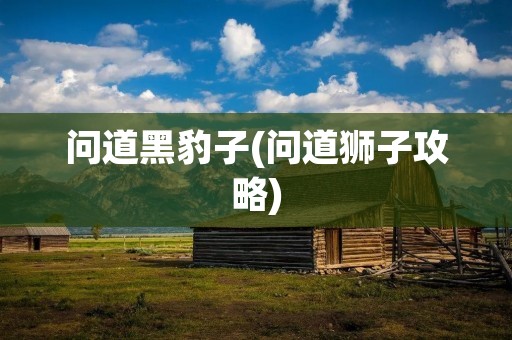 问道黑豹子(问道狮子攻略)