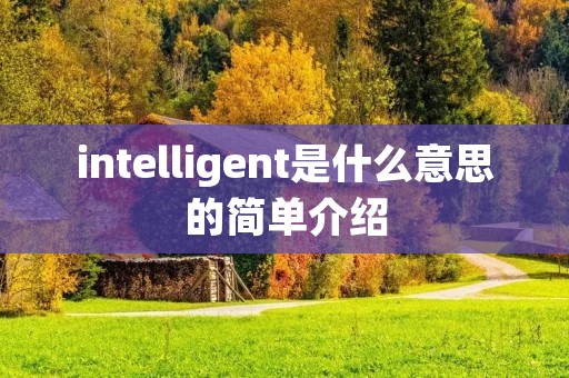 intelligent是什么意思的简单介绍