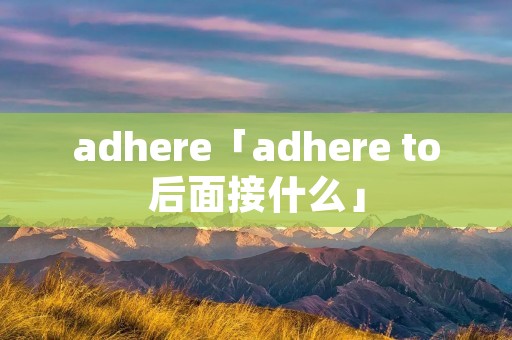 adhere「adhere to后面接什么」