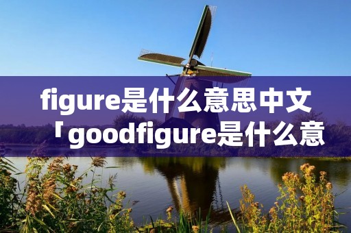 figure是什么意思中文「goodfigure是什么意思中文」