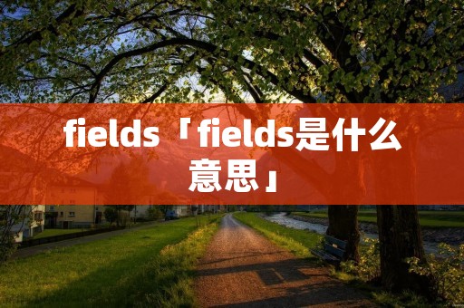 fields「fields是什么意思」