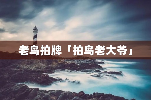 老鸟拍牌「拍鸟老大爷」