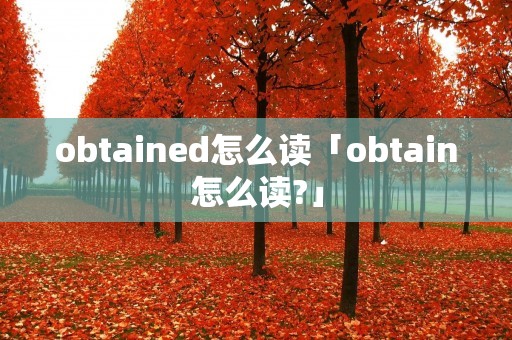 obtained怎么读「obtain怎么读?」