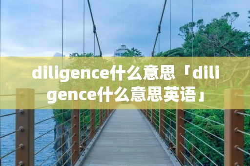 diligence什么意思「diligence什么意思英语」