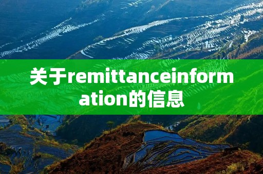 关于remittanceinformation的信息