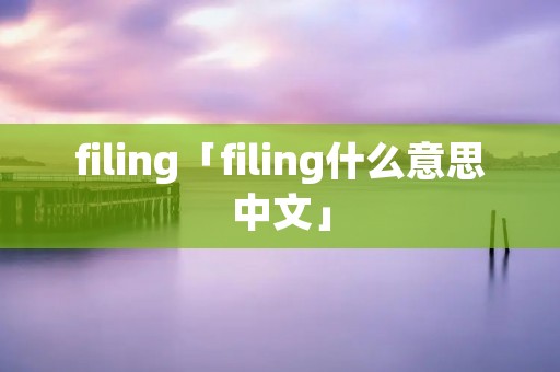 filing「filing什么意思中文」