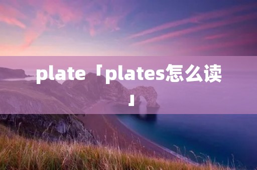 plate「plates怎么读」