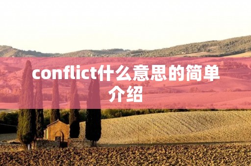 conflict什么意思的简单介绍