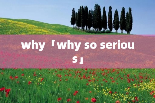 why「why so serious」