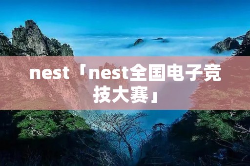 nest「nest全国电子竞技大赛」