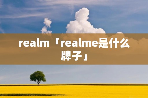 realm「realme是什么牌子」