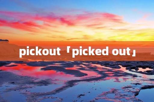 pickout「picked out」