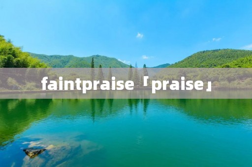 faintpraise「praise」