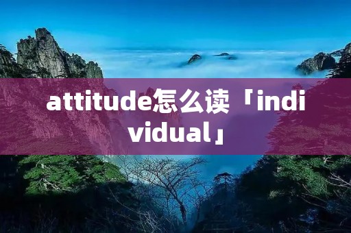 attitude怎么读「individual」