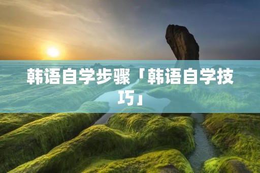 韩语自学步骤「韩语自学技巧」
