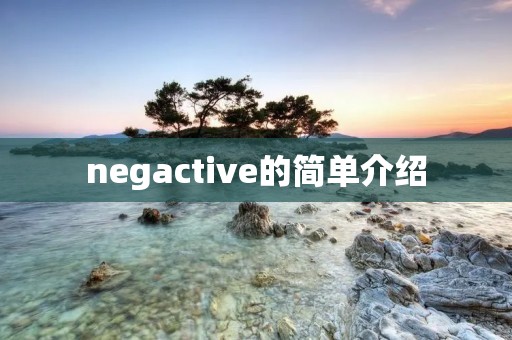 negactive的简单介绍 negactive的简单介绍