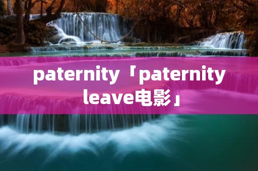 paternity「paternity leave电影」