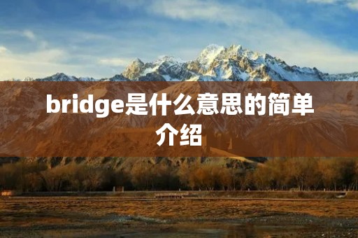 bridge是什么意思的简单介绍