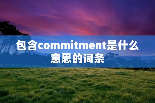 包含commitment是什么意思的词条