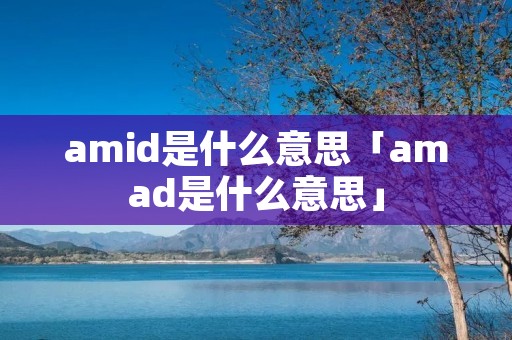 amid是什么意思「amad是什么意思」