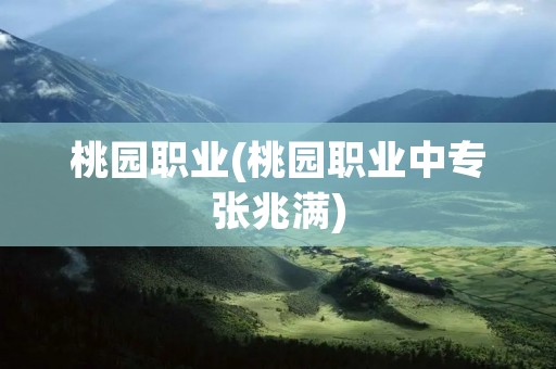桃园职业(桃园职业中专张兆满)