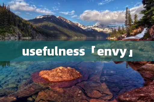 usefulness「envy」