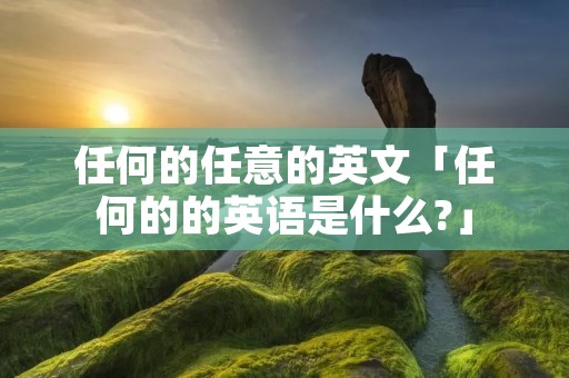 任何的任意的英文「任何的的英语是什么?」