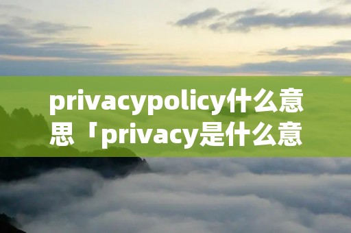 privacypolicy什么意思「privacy是什么意思中文」
