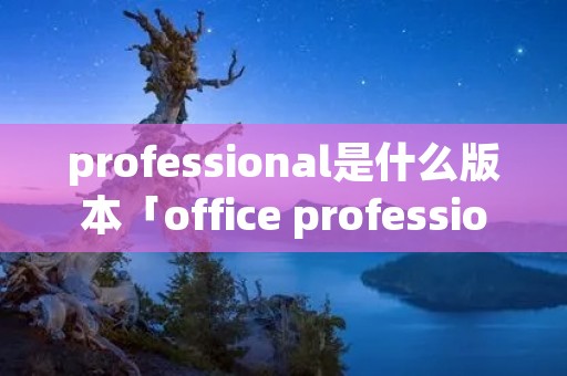 professional是什么版本「office professional plus是什么版本」