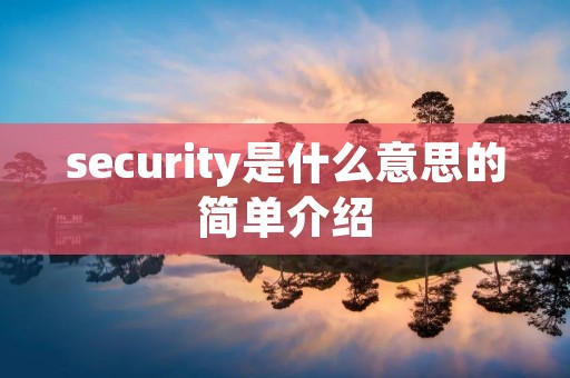 security是什么意思的简单介绍 security是什么意思的简单介绍