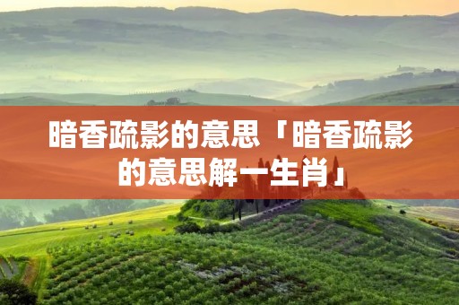 暗香疏影的意思「暗香疏影的意思解一生肖」