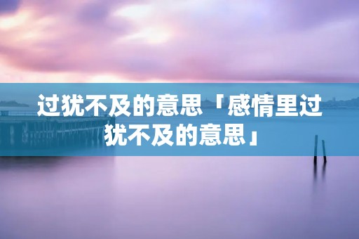 过犹不及的意思「感情里过犹不及的意思」