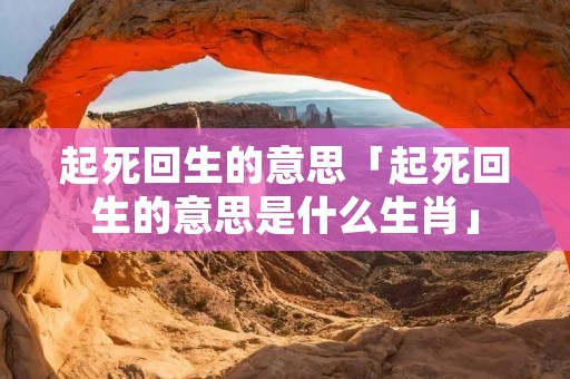 起死回生的意思「起死回生的意思是什么生肖」