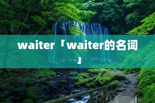 waiter「waiter的名词」
