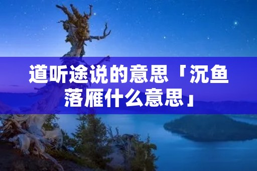 道听途说的意思「沉鱼落雁什么意思」