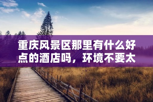 重庆风景区那里有什么好点的酒店吗,环境不要太差的!