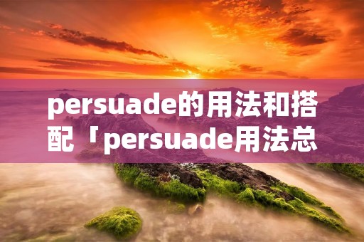 persuade的用法和搭配「persuade用法总结」