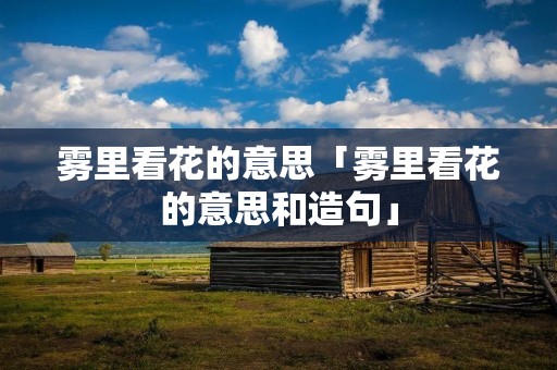 雾里看花的意思「雾里看花的意思和造句」